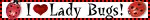 i love ladybugs
