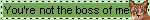 youre not my boss! (green)